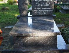 dsc07181.jpg
