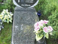 dsc07178.jpg