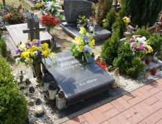 dsc07186.jpg